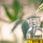 CBD Oil Options