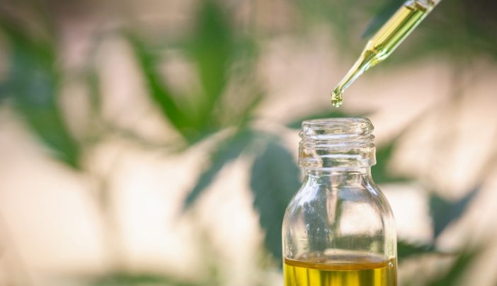 CBD Oil Options